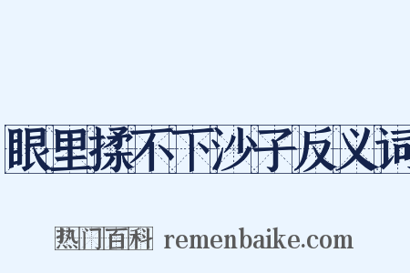 眼里揉不下沙子反义词是什么意思的图片